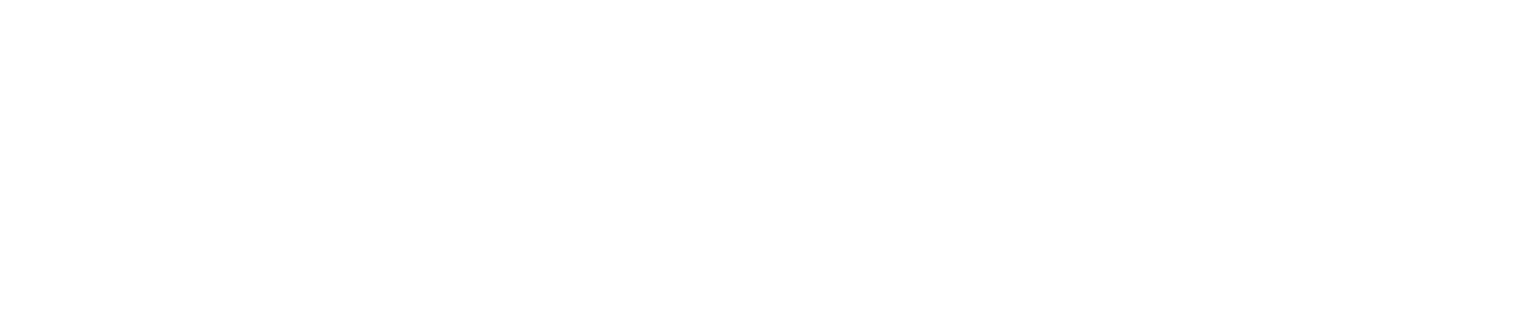 iCubo UDD